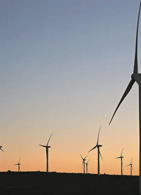 Estudo alerta que Europa investe pouco em energia e&oacute;lica e renova&ccedil;&atilde;o de edif&iacute;cios